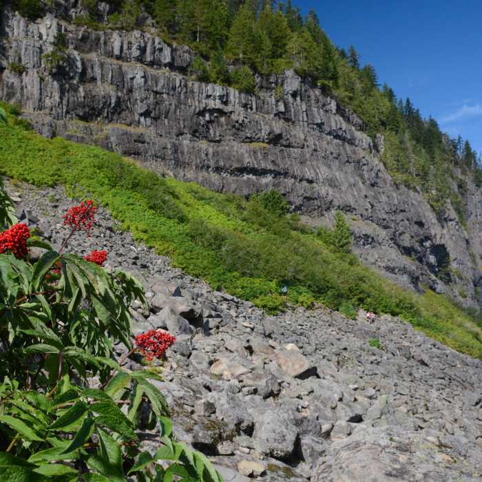 Near Summit Trail