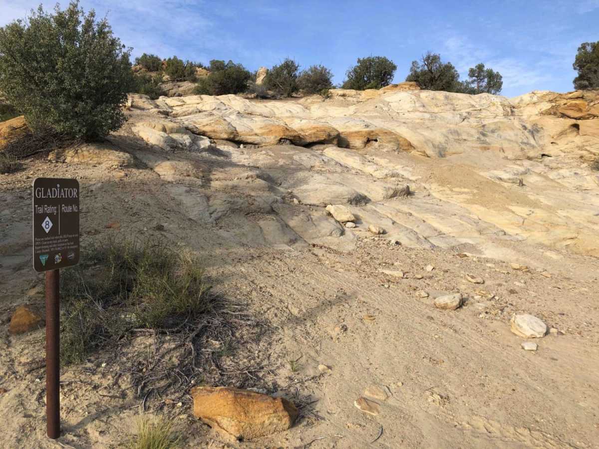 Gladiator trail photo