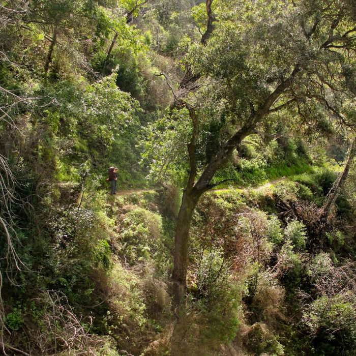 Near Pine Ridge Trail to Sykes Hot Springs
