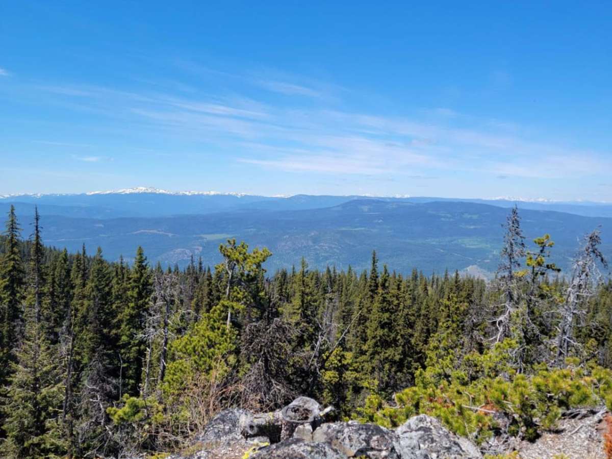 Iron Mountain trail photo