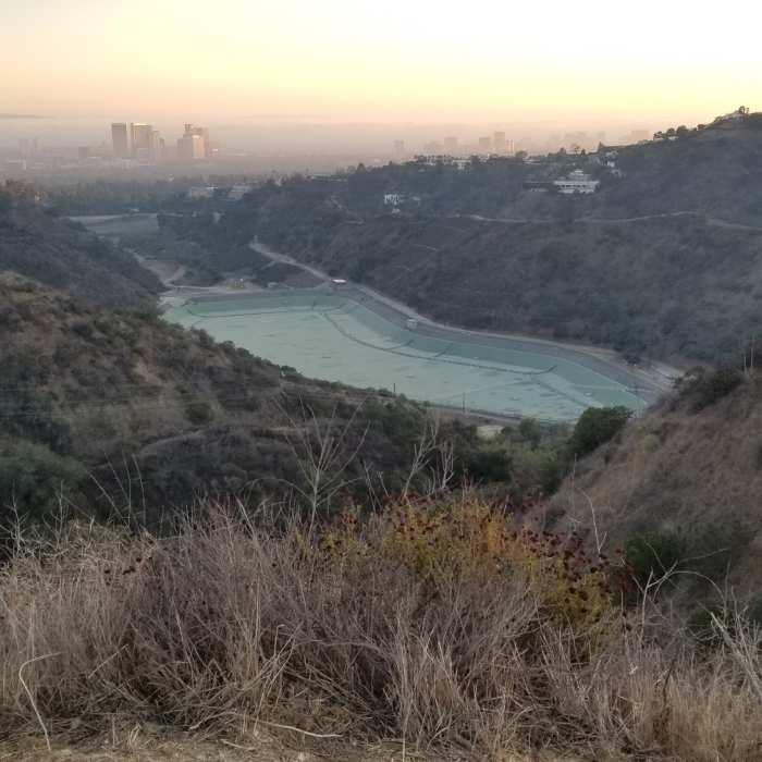 Near Lower Franklin Canyon Loop