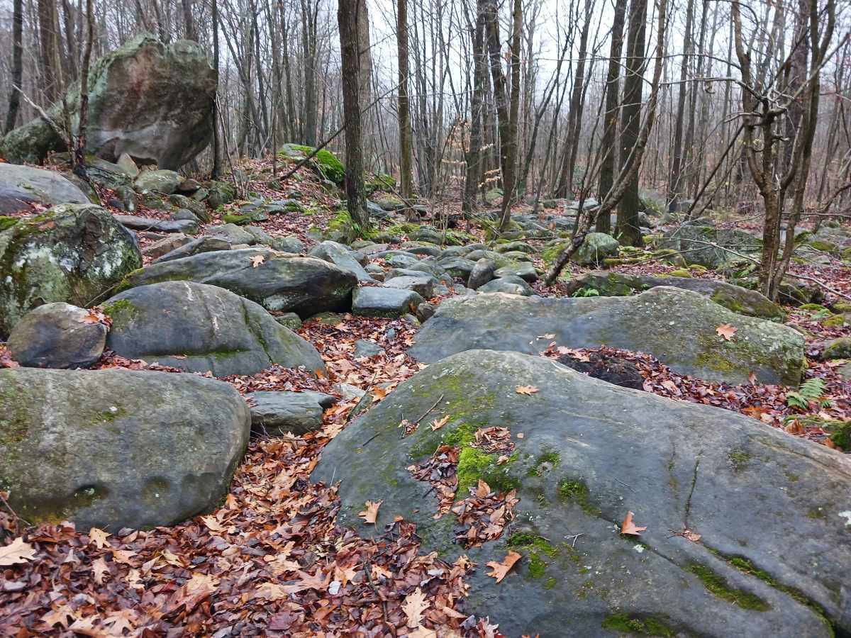 OHV 23 - Rock Run Recreation Area photo 6