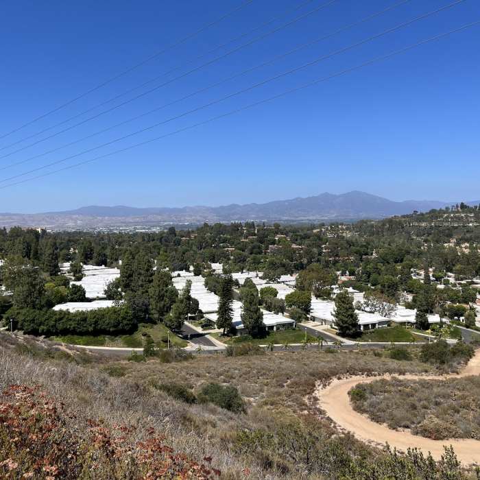 Near James Dilley Preserve Combo