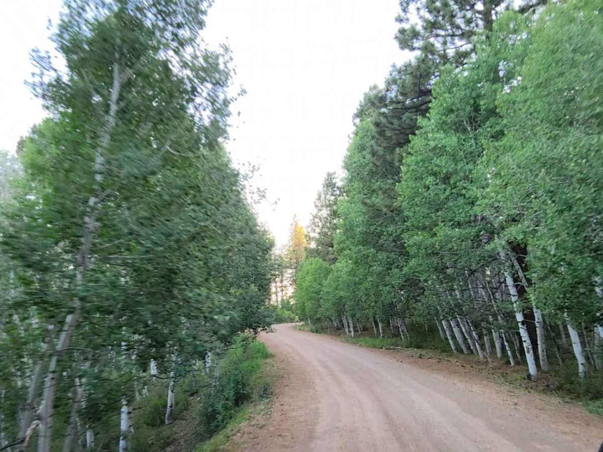 Boggy Draw Road photo 4