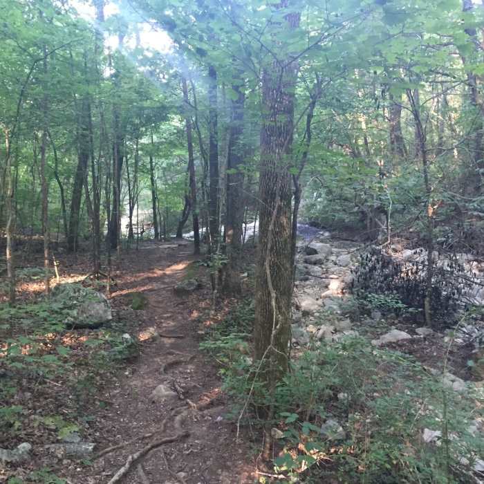 Near Watts Trail