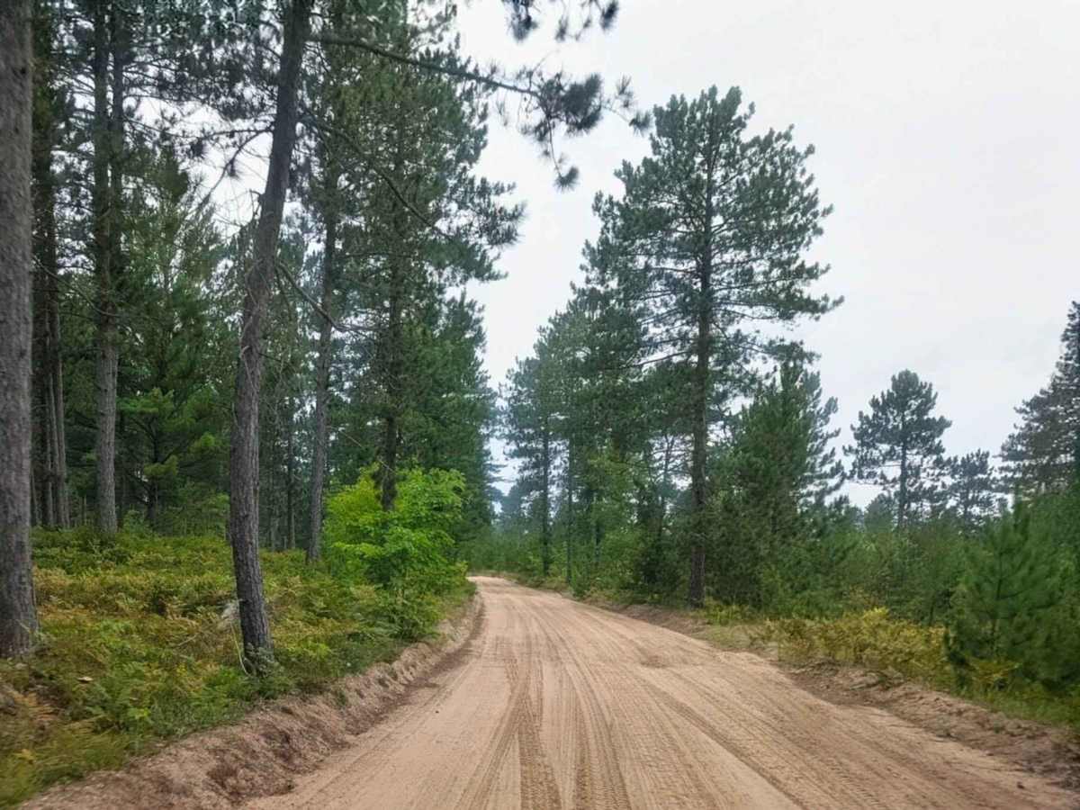 Vermillion Road photo 4
