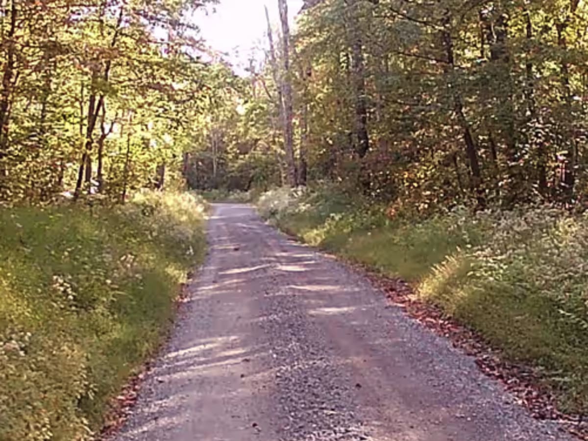 Short Mountain Road photo 3