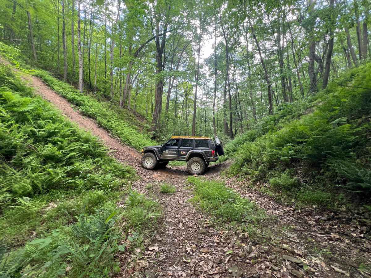 KC31 trail photo