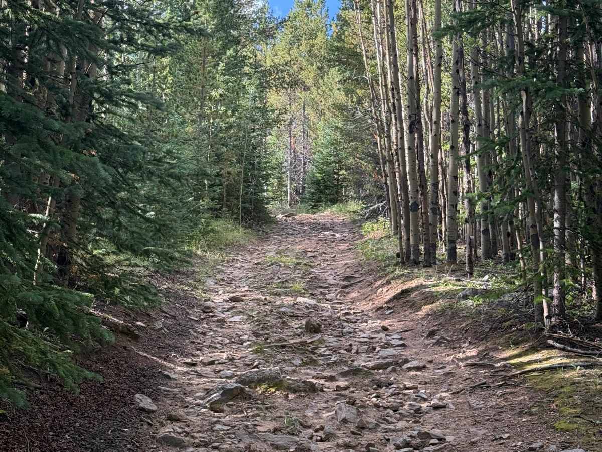 Devils Canyon Spur - FS 2461B trail photo