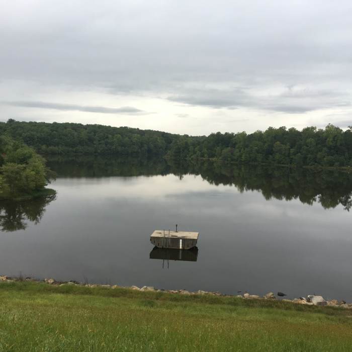 View of Mercer Lake looking west from top of dam. Near South Run - Mercer Lake Loop Route