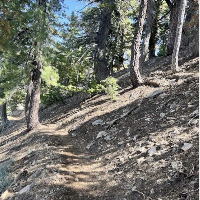 Near Mount Lewis Near Mount Lewis