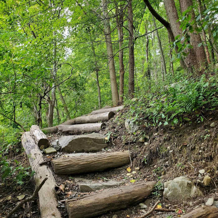 Near Arrow Island Trail