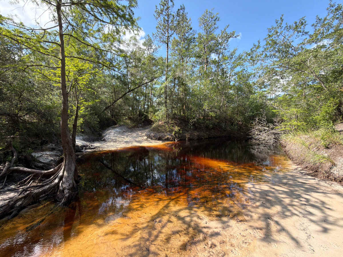 FS 312D trail photo