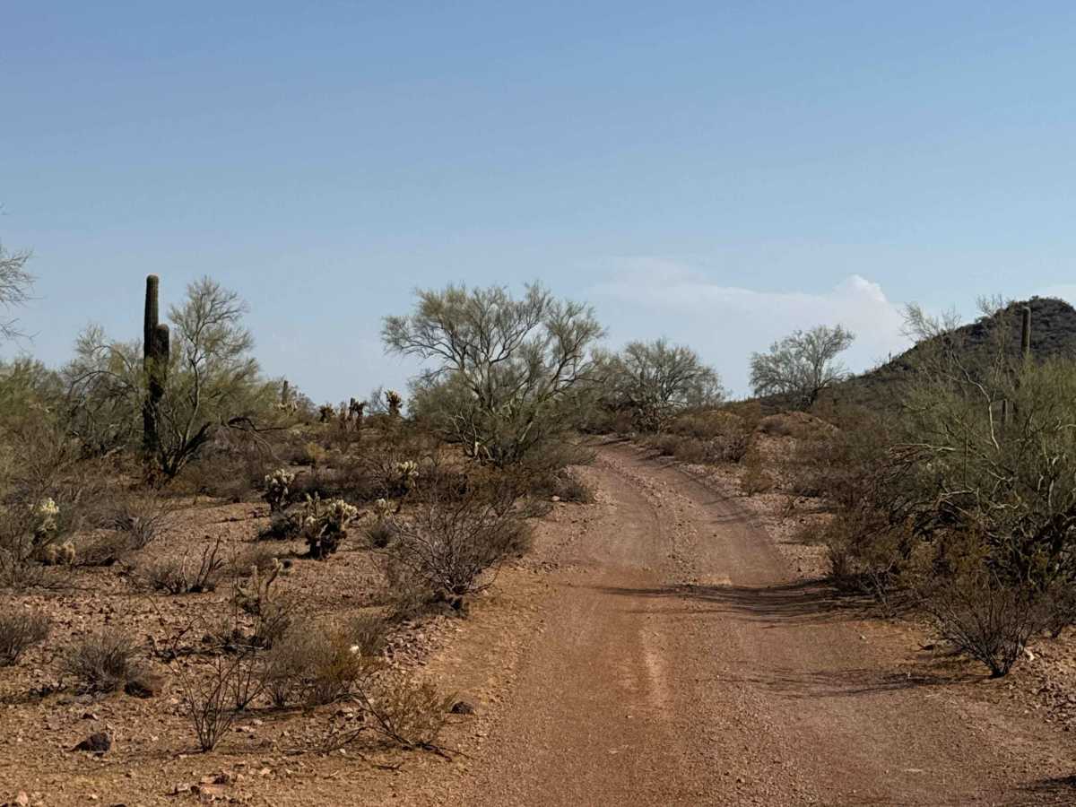 BLM 38064 trail photo
