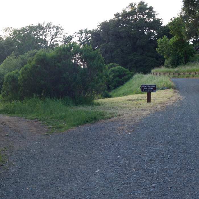Near Toyon Trail