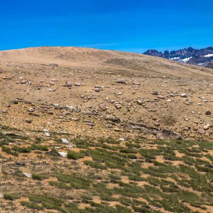 Near John Muir Trail Section 4