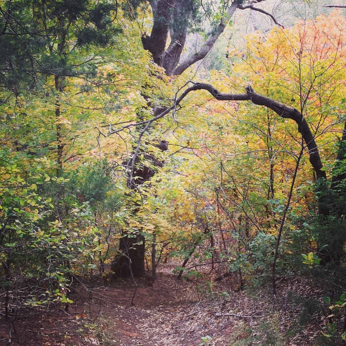 Near Red Rock Canyon State Park