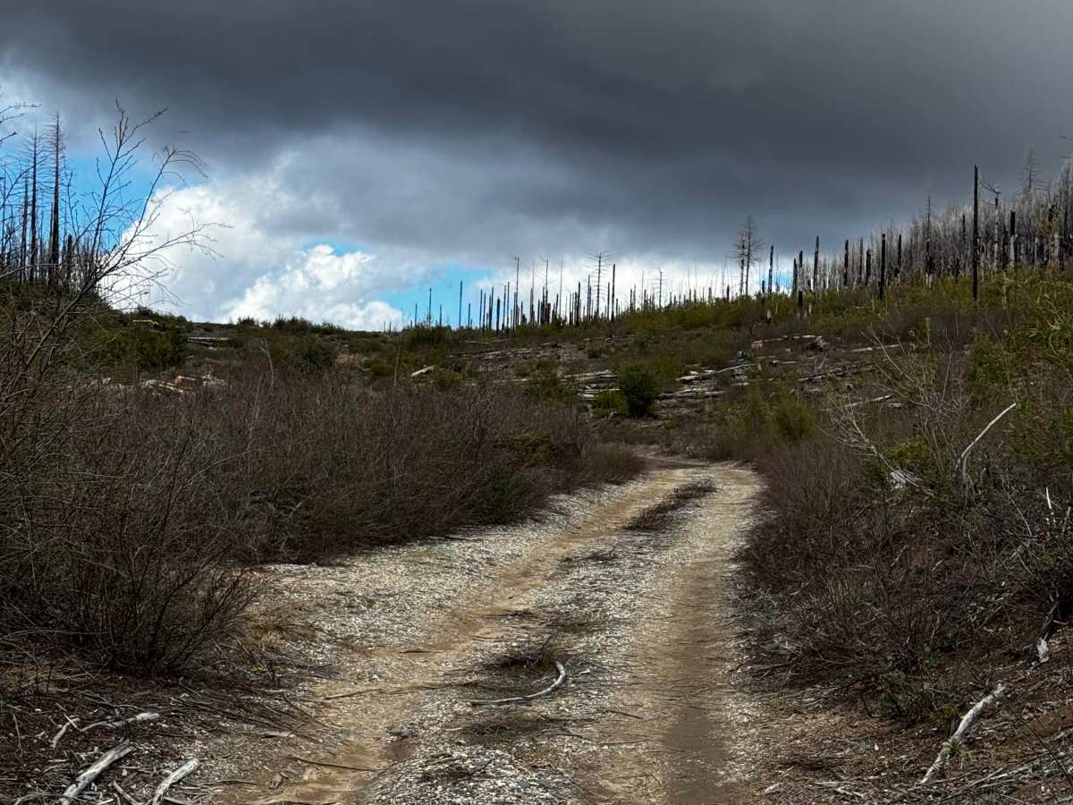 Bald Rock photo 2