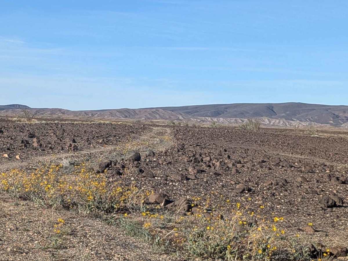 BLM 819 photo 2