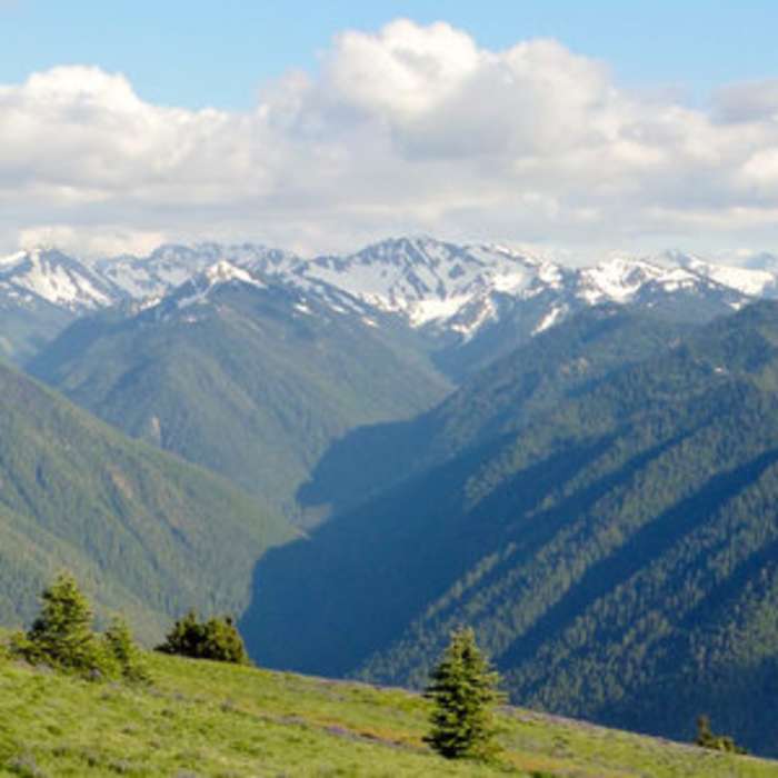 Near Cirque Rim Trail