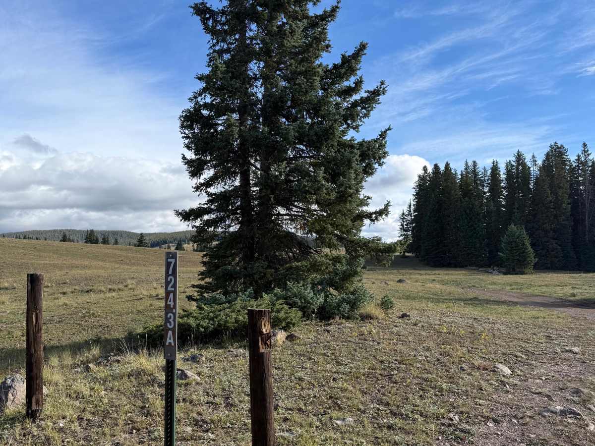 Rainbow Lake Spur trail photo