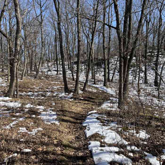 Near Righter Mine Loop Near Righter Mine Loop