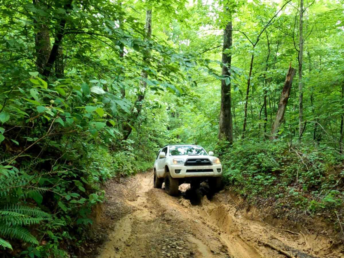 Brushy Fork Road photo 3