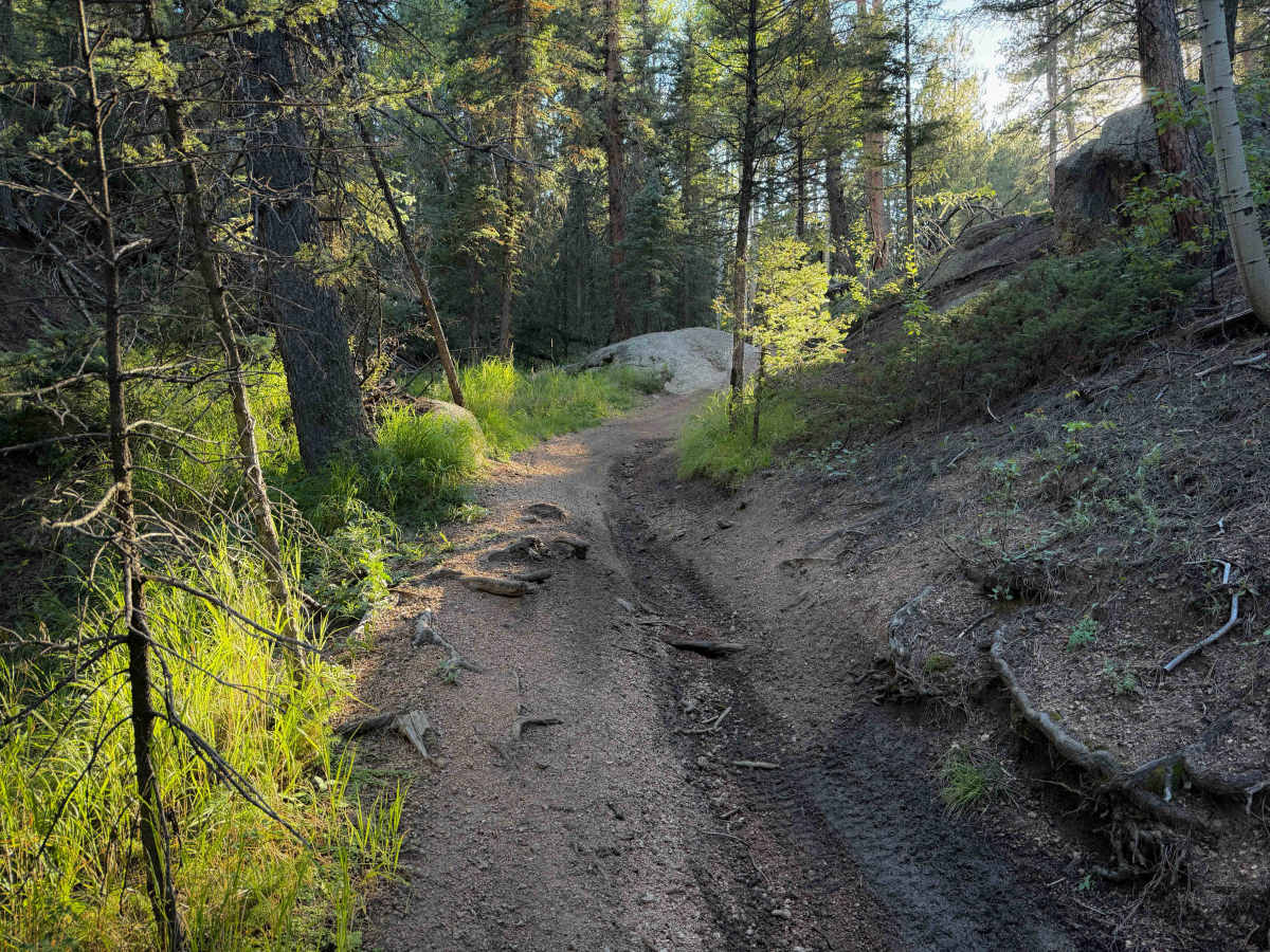West Creek Spur - FS 717D  photo 5