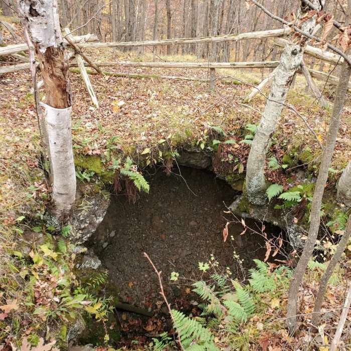 Near Doe Lake Trail