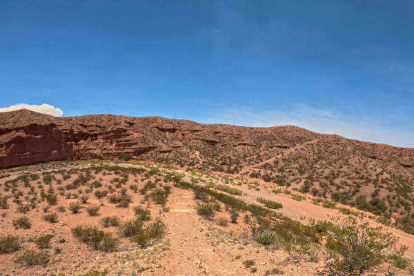 Top of the Canyon