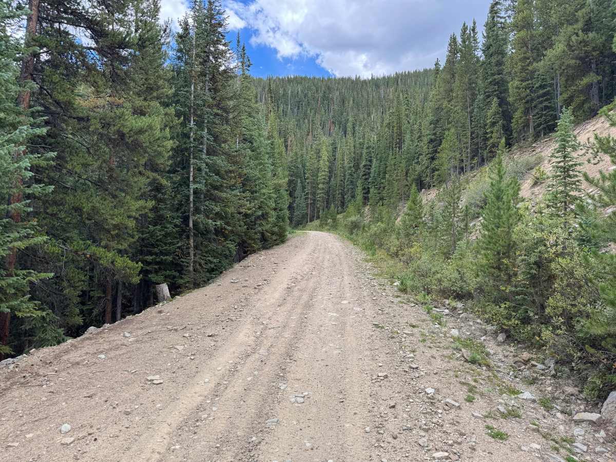 Pearl Creek photo 4