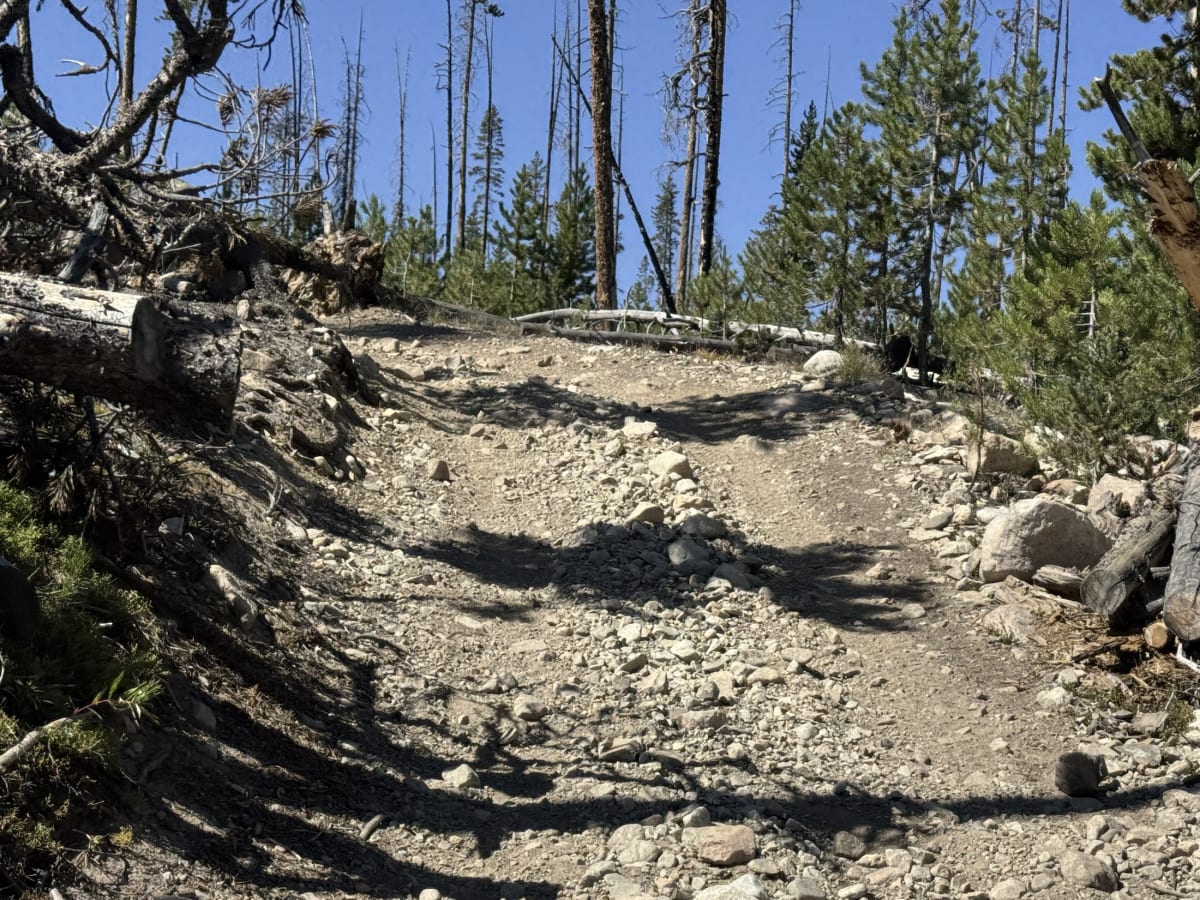 Valley Creek - FSR 4039 photo 6