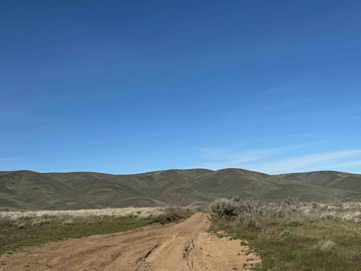 Roza Creek Road photo 3