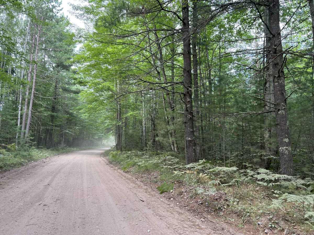 Route FIR - Forest Road 31616 photo 3