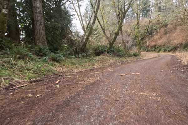 Tenmile Butte Road - 3500