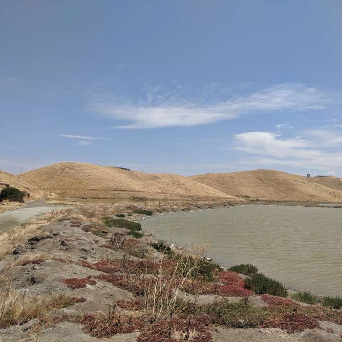 Near Coyote Hills Half Marathon Loop