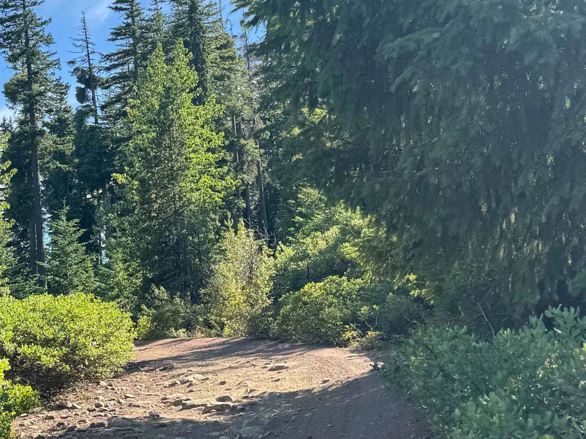 Torso Lake - FS 2076 photo 6