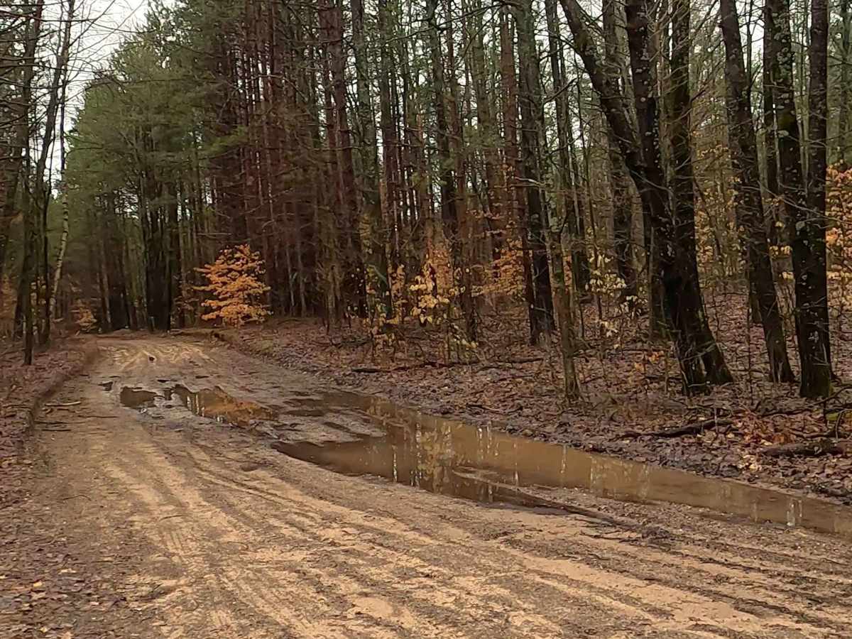 ORV H-57 5 & 8 : Mack- Maltby Hills Loop Trail photo 3