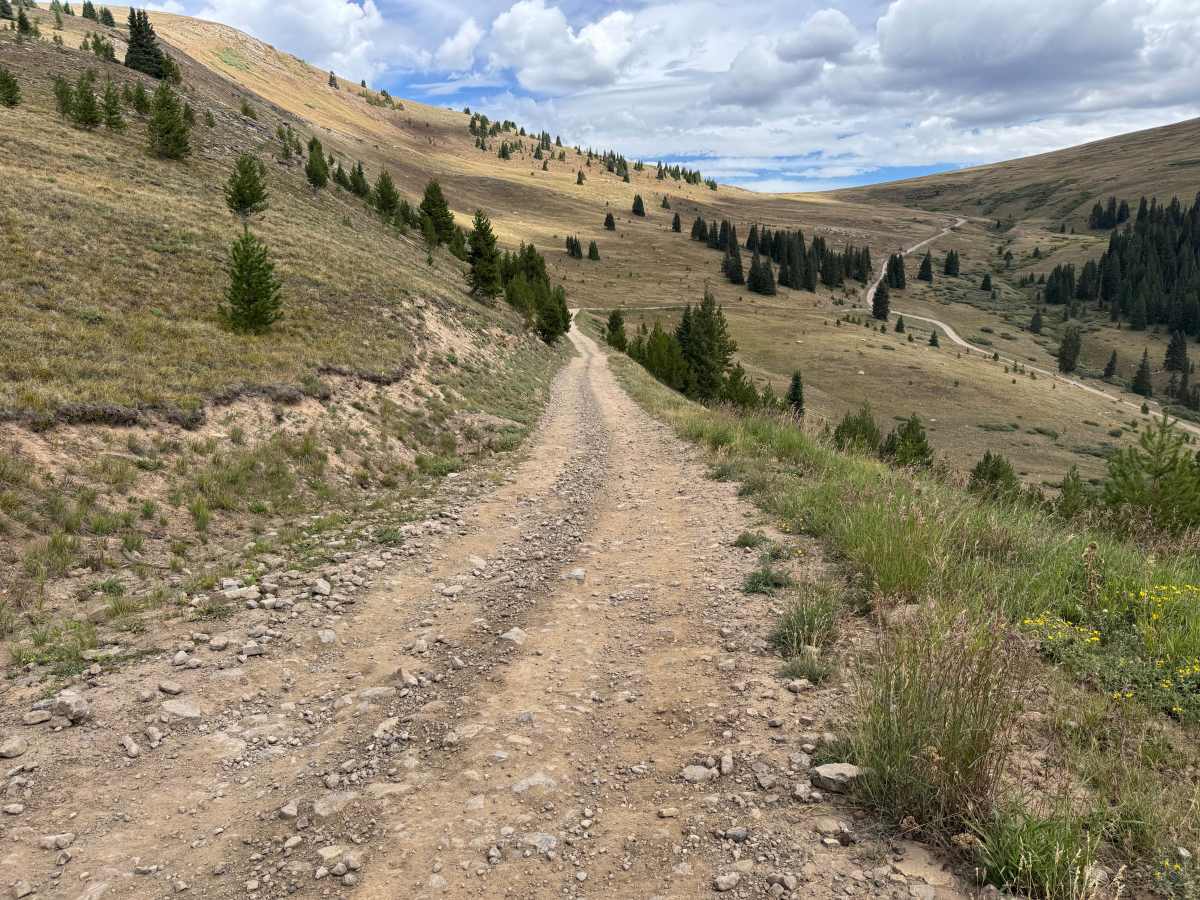Ptarmigan Road photo 3