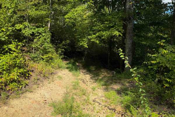 Herman Lowe Trail 25