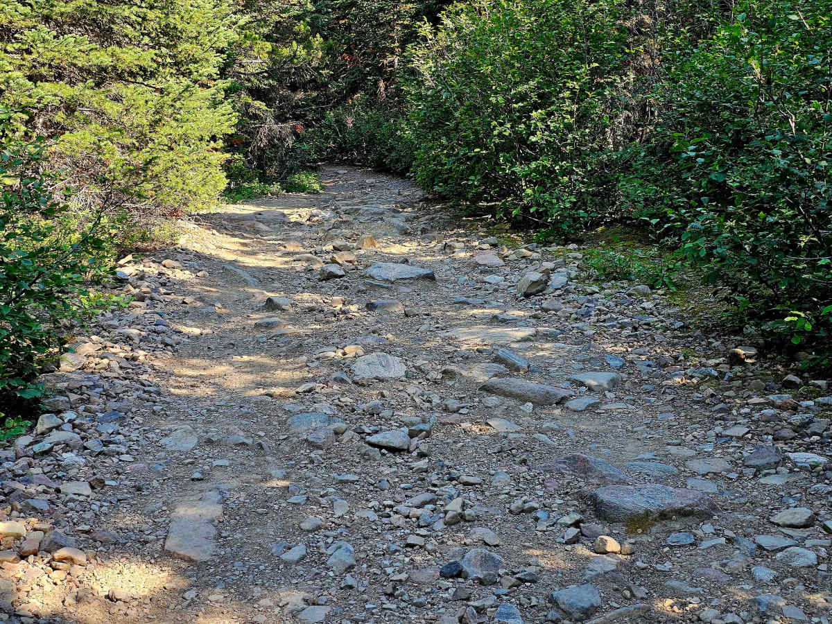 Big Bear Lake Road photo 6
