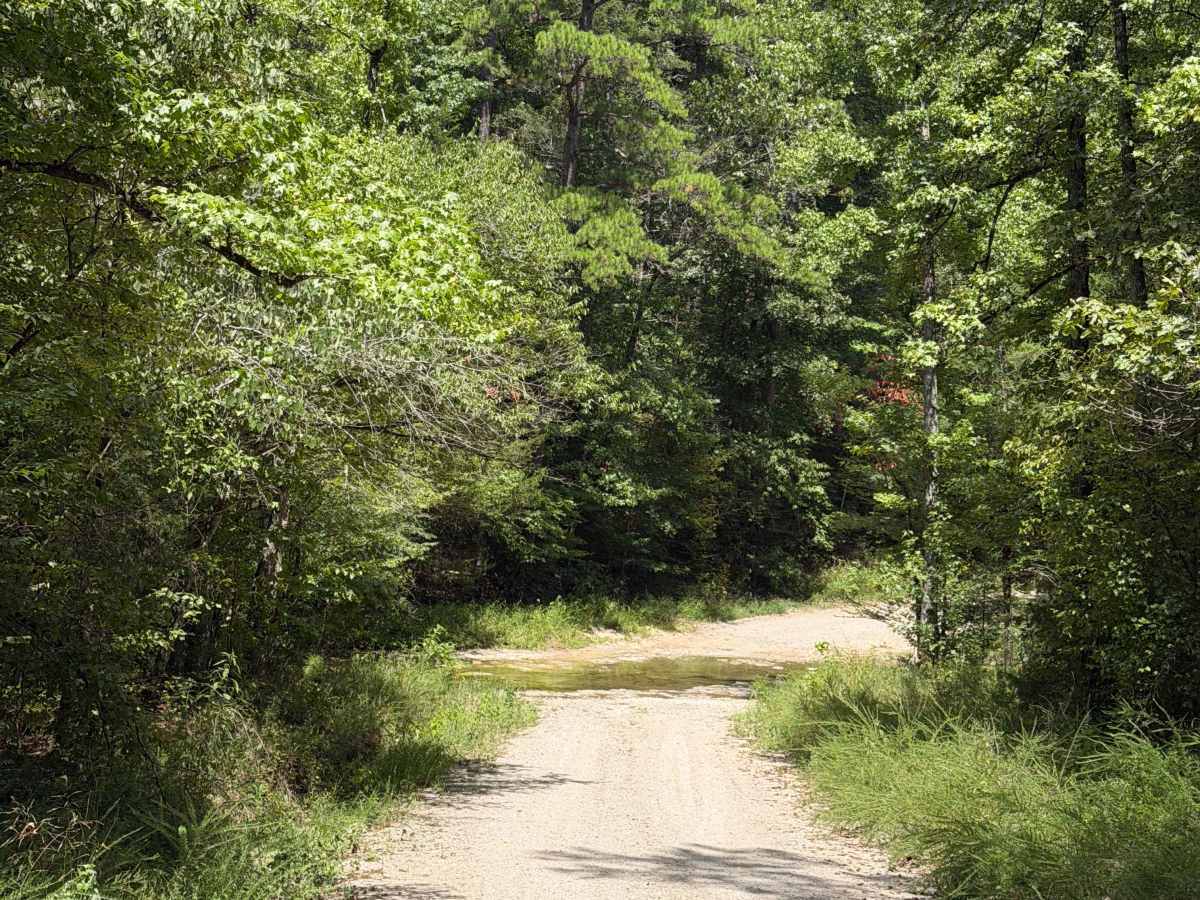 County Road 114 photo 4