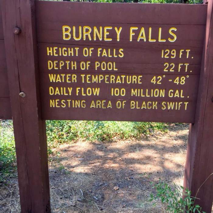 Near Pacific Crest Trail: California Section O