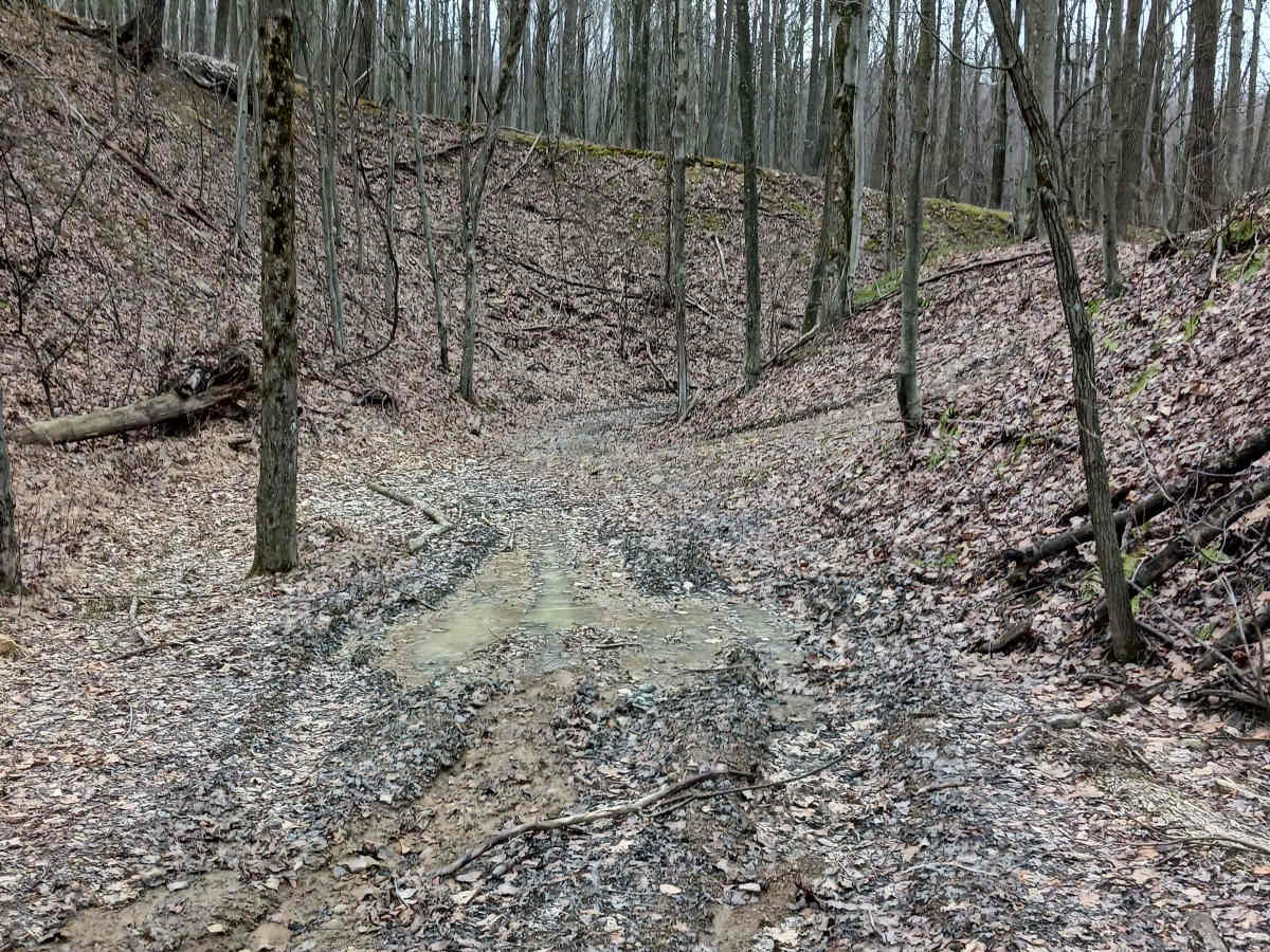Trail 4D - Rock Run Recreation Area photo 2