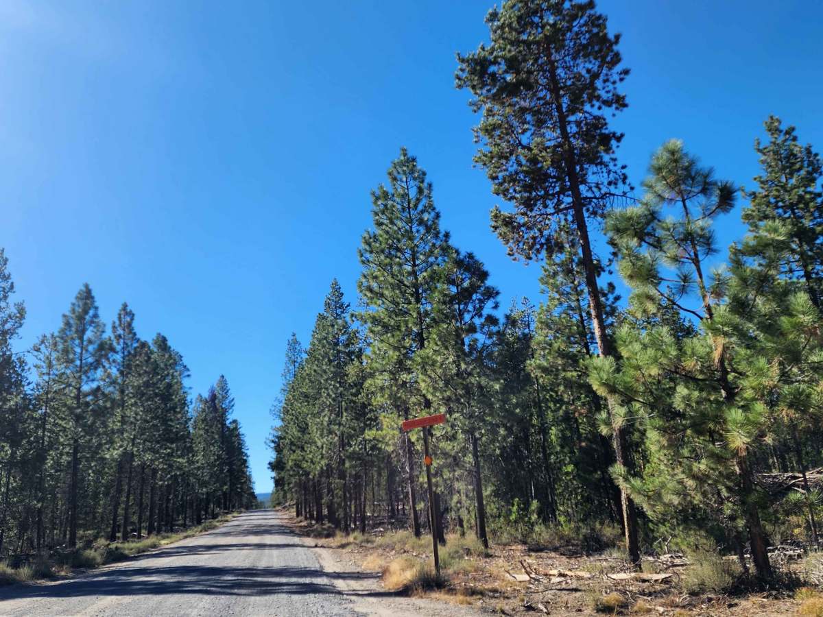 Miller Lake and Digit Campground - FS 9772 photo 4