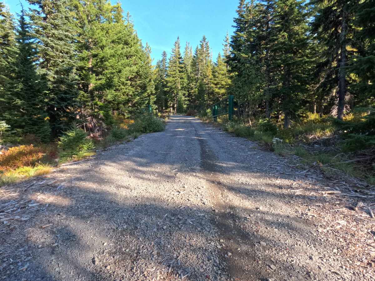 Dollar Quarry photo 3
