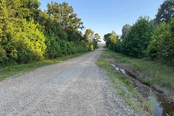 County Road 3335