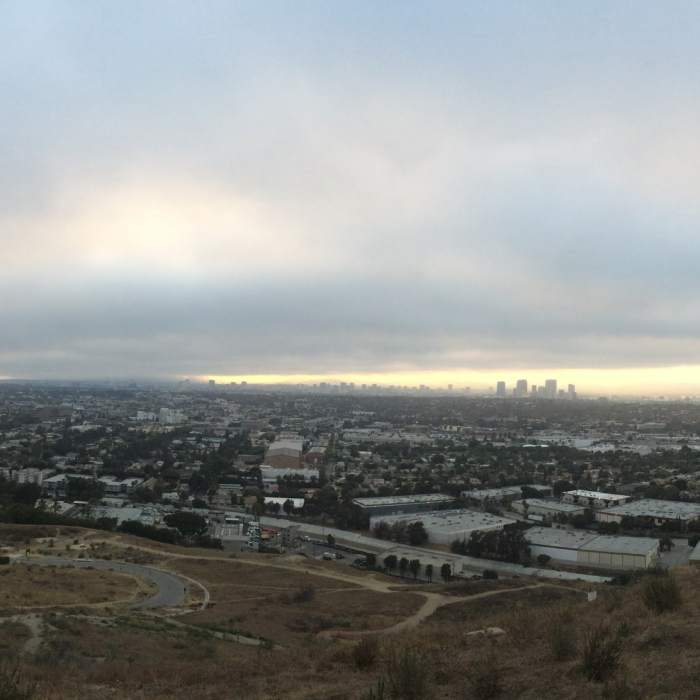 Near Hillside Trail (Baldwin Hills Overlook)