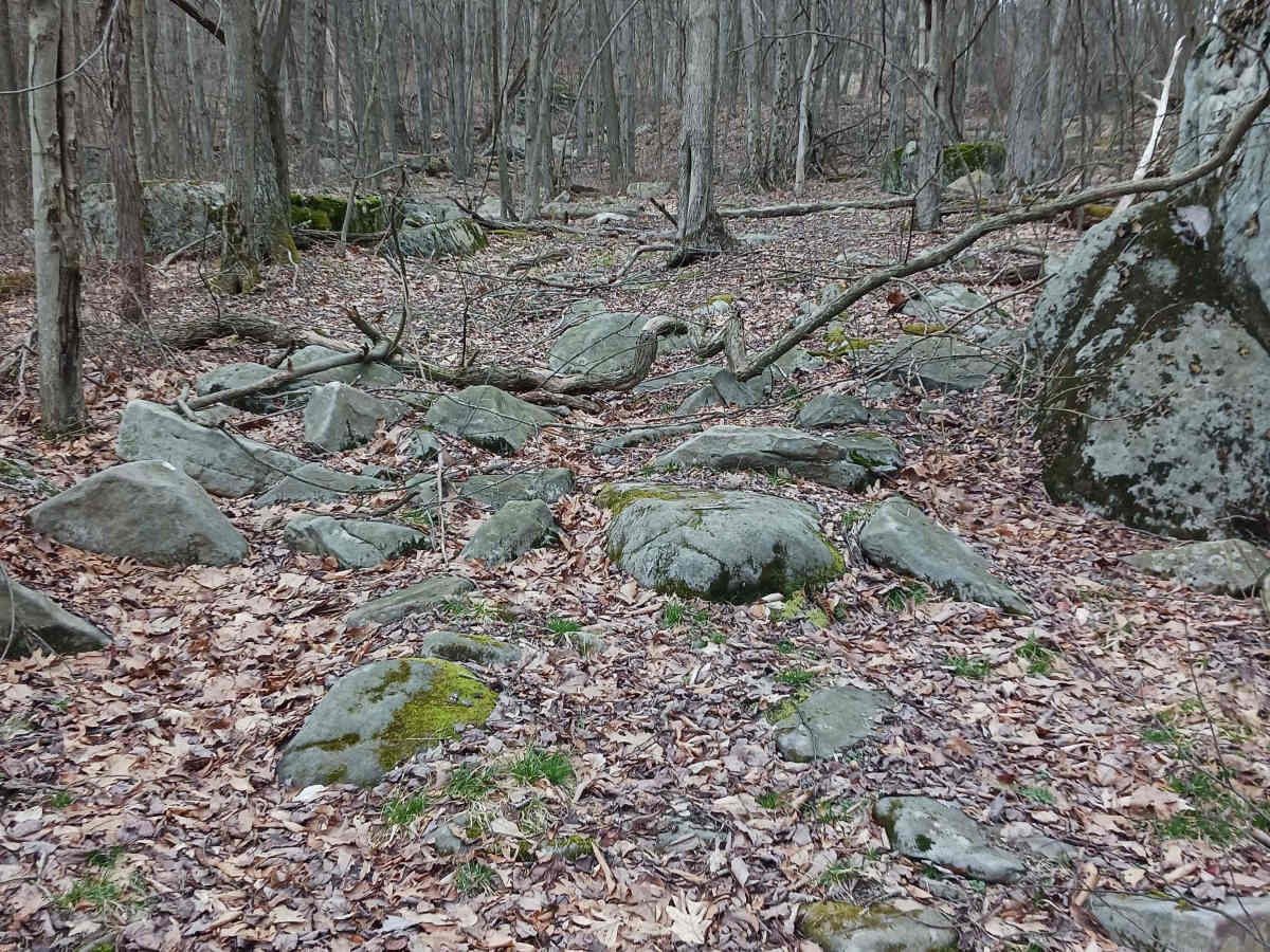 OHV 55 - Rock Run Recreation Area photo 6