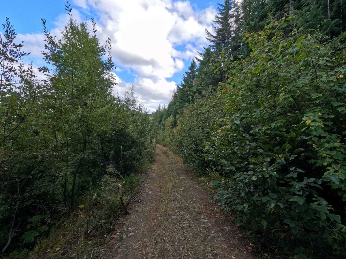 Ole Creek - FS 1092 photo 2